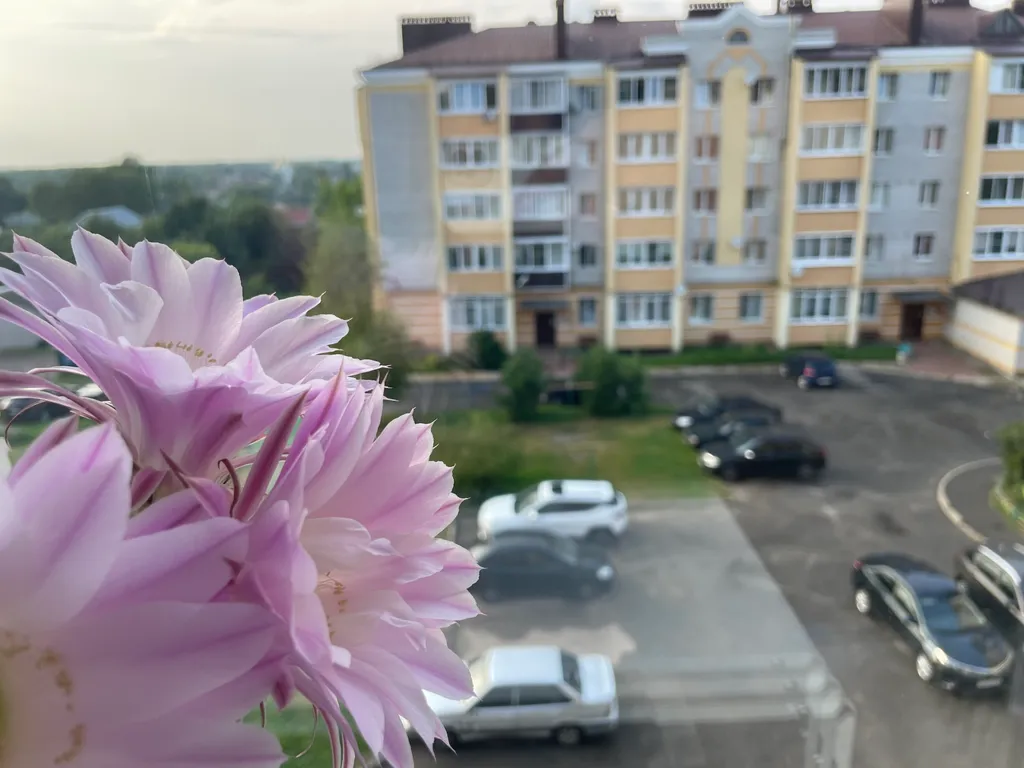 Квартира для вашего отдыха