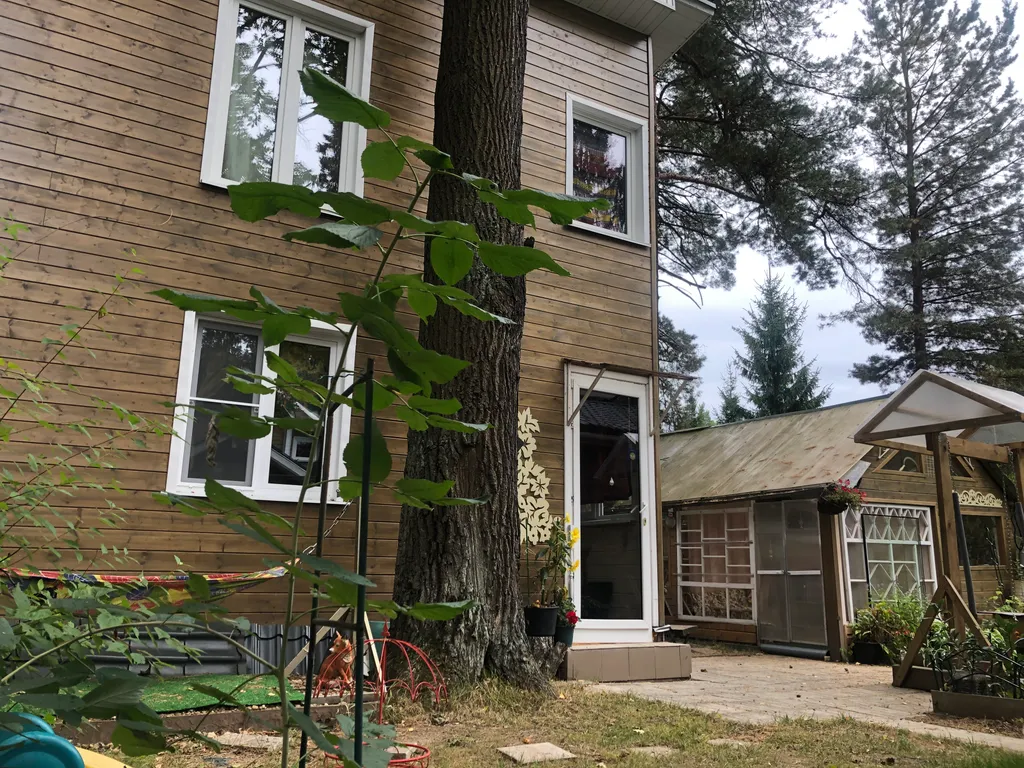 Аленький цветочек