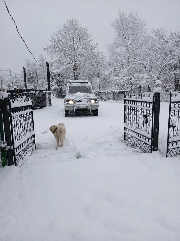 Дом среди гор