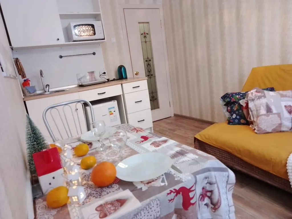 Уютная однокомнатная квартира