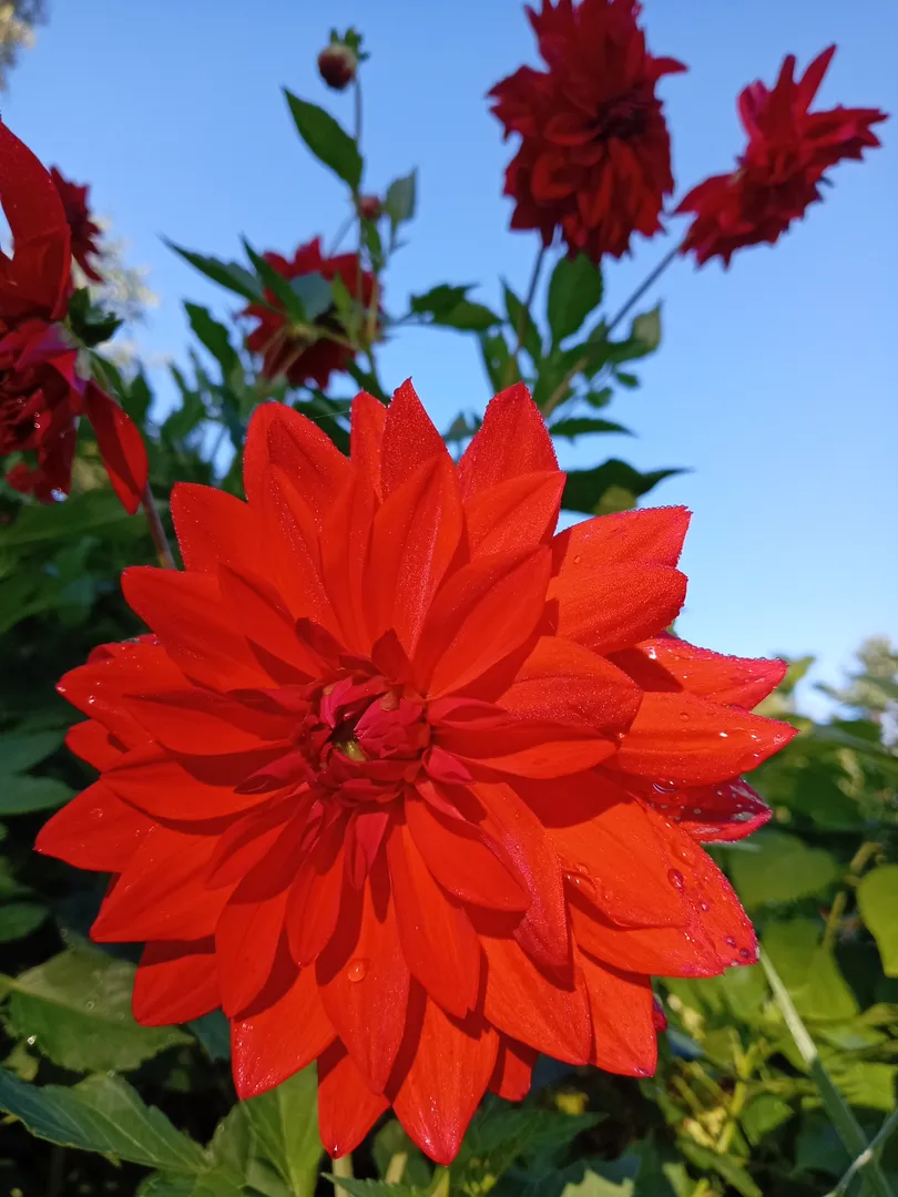 Фото