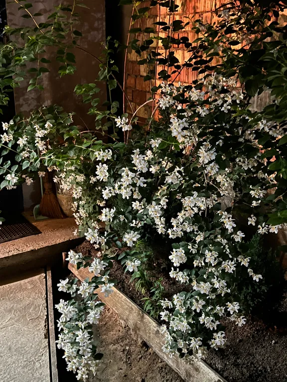 Коттедж Уютный домик у моря — Махачкала