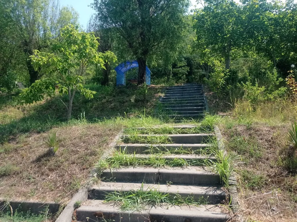 Апартаменты в лесу