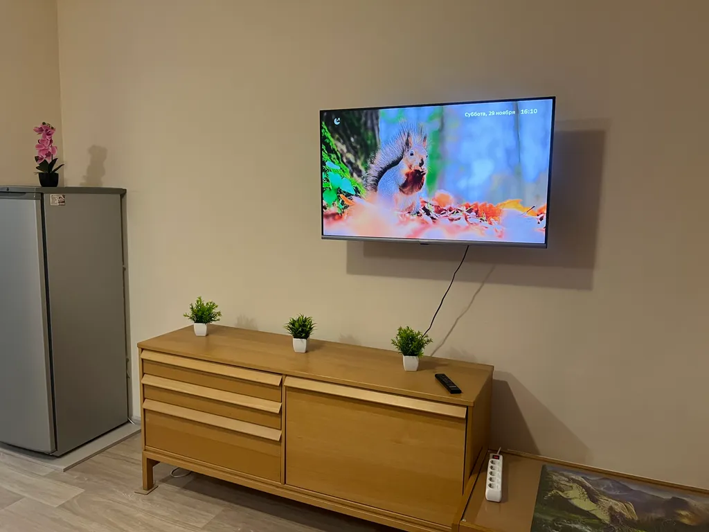 Студия с шикарным видом на лес