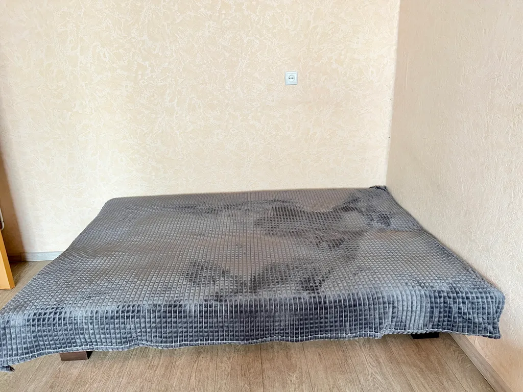 Апартаменты на Советской площади