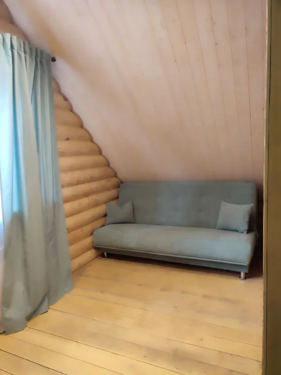 Уютный дом Шарика