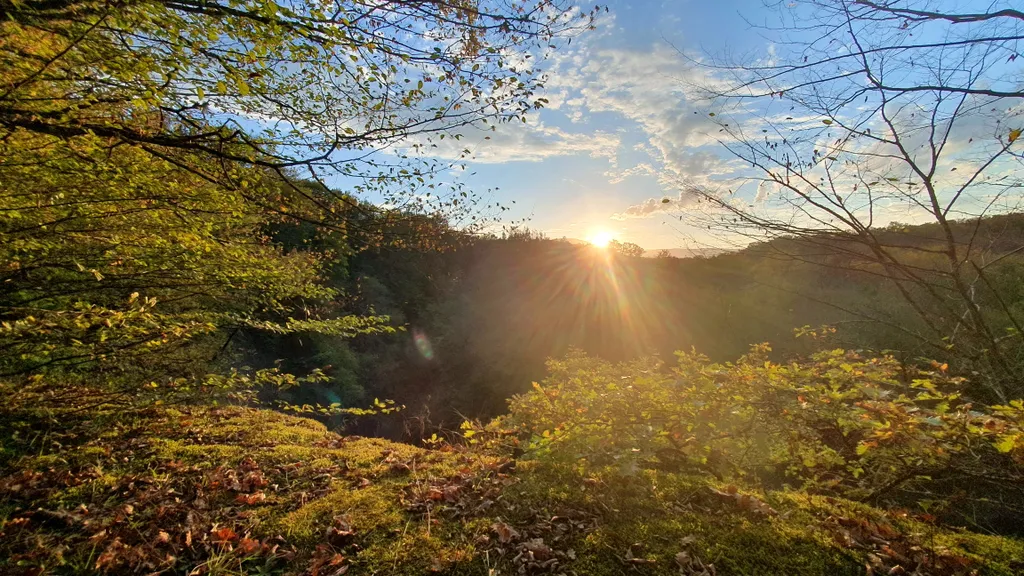 Барн-хаус 2+1 в тишине у леса и горной реки