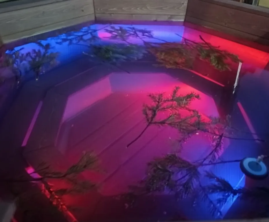 Коттедж Загородный дом с бассейном Family home — Лабинск