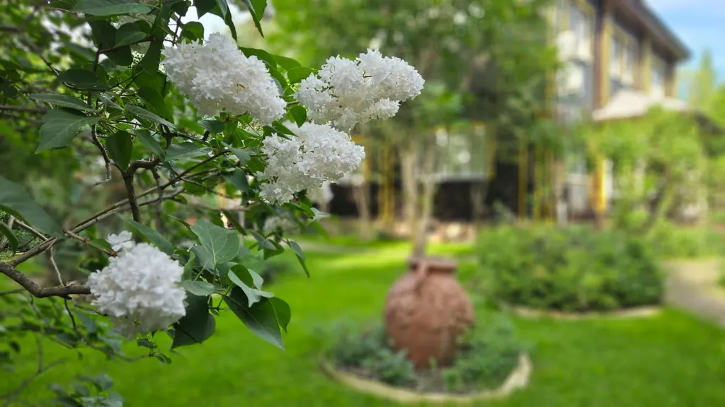 Дом улучшенный