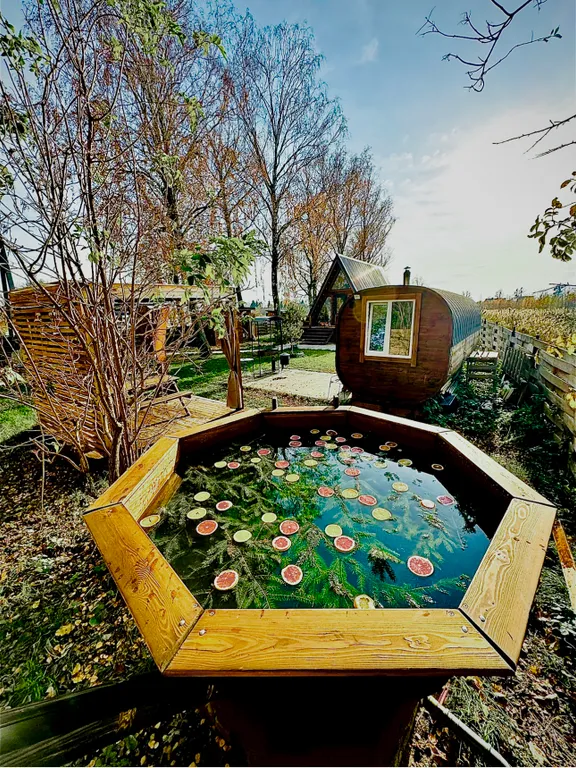 Треугольный дом с баней и сибирским чаном