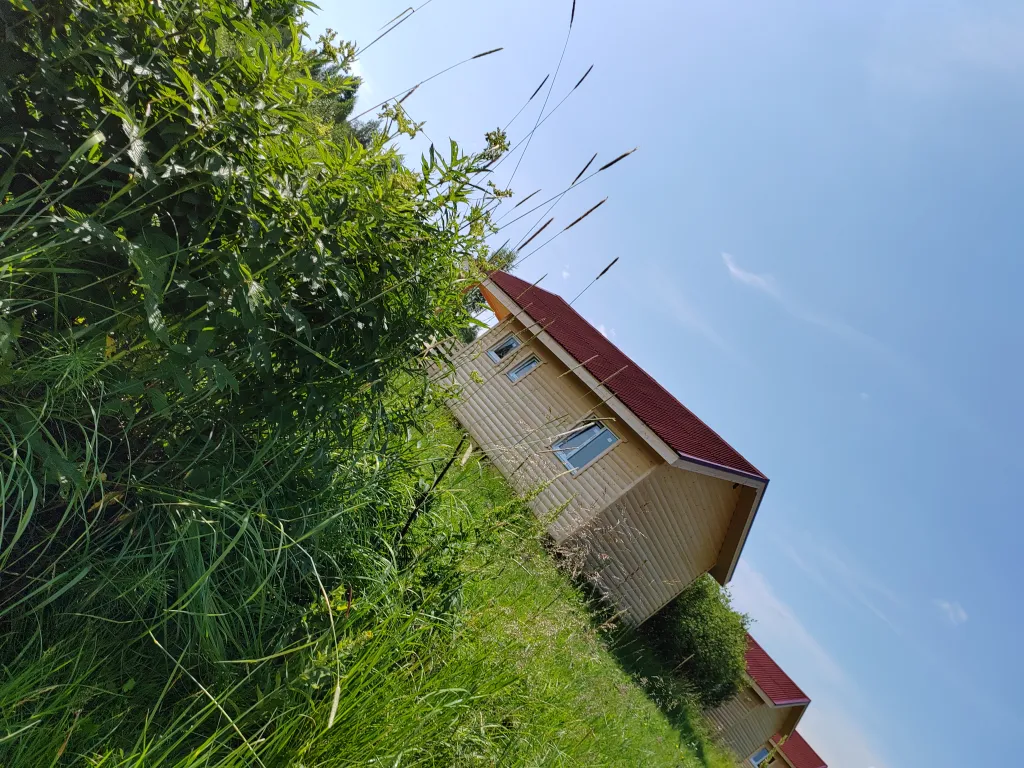 Коттедж Дом с видом на лес база Карловка — Чудово