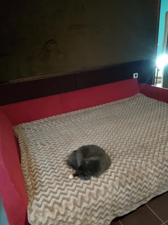 Гостевой дом.