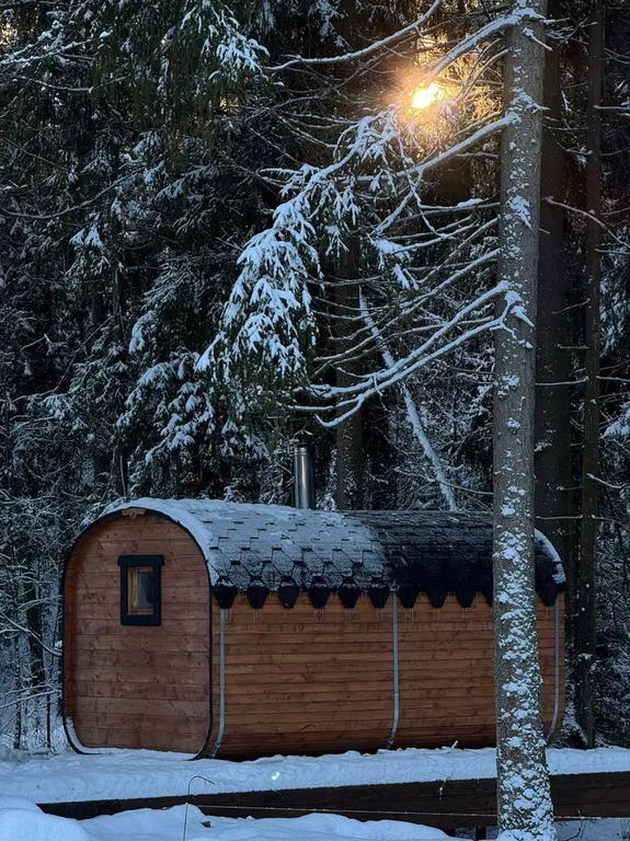 Домик с баней в лесу