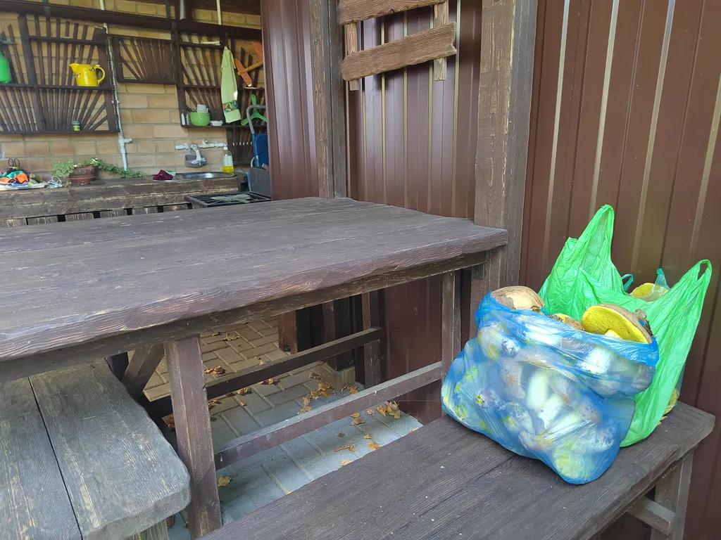 Дом в лесу у залива