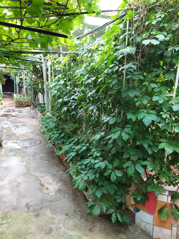 Квартира в лучшем районе