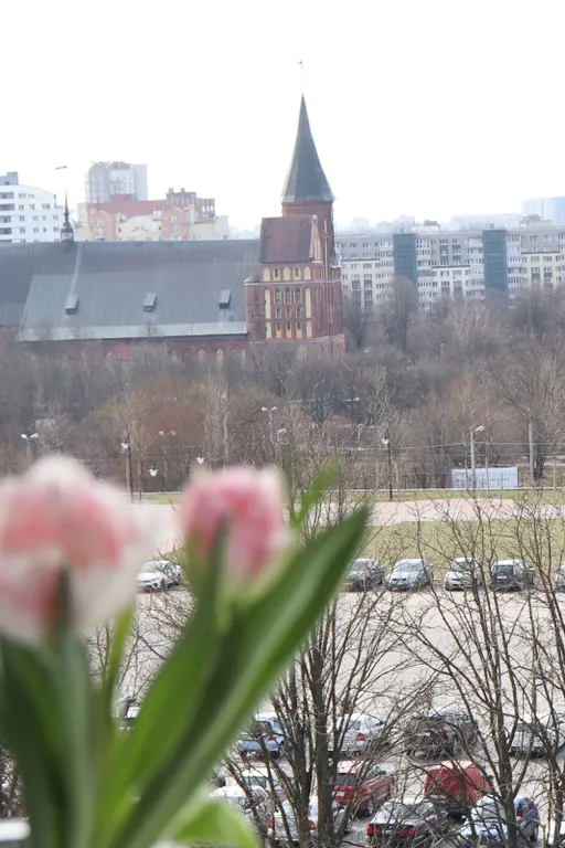 Квартира Квартира Студия в самом сердце города — Калининград