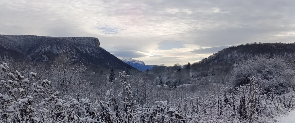 Коттедж Гостевой дом Гармония — Веселый