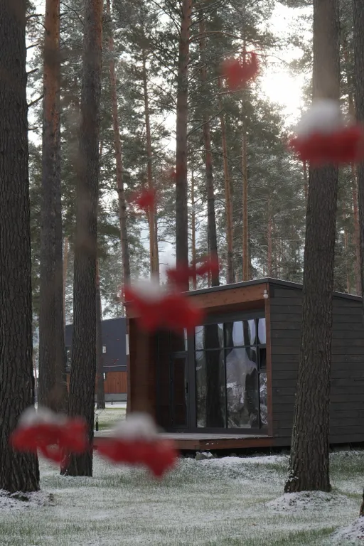 1-комнатный Дом