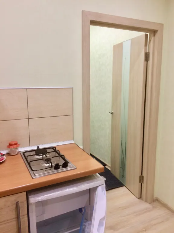 Студия - Цветочная - у домика Петра I, в центре.