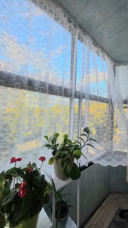 Просторная квартира в лучшем районе города.