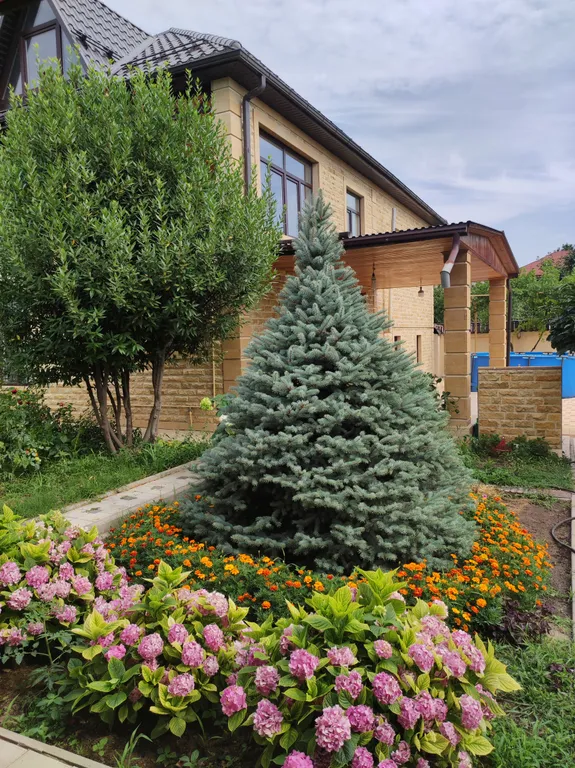 Райский уголок