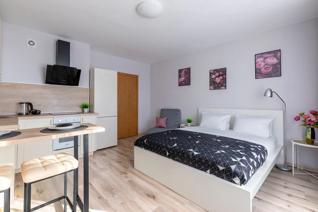 Квартира Апартаменты Живи в Песочном Студия — Песочный