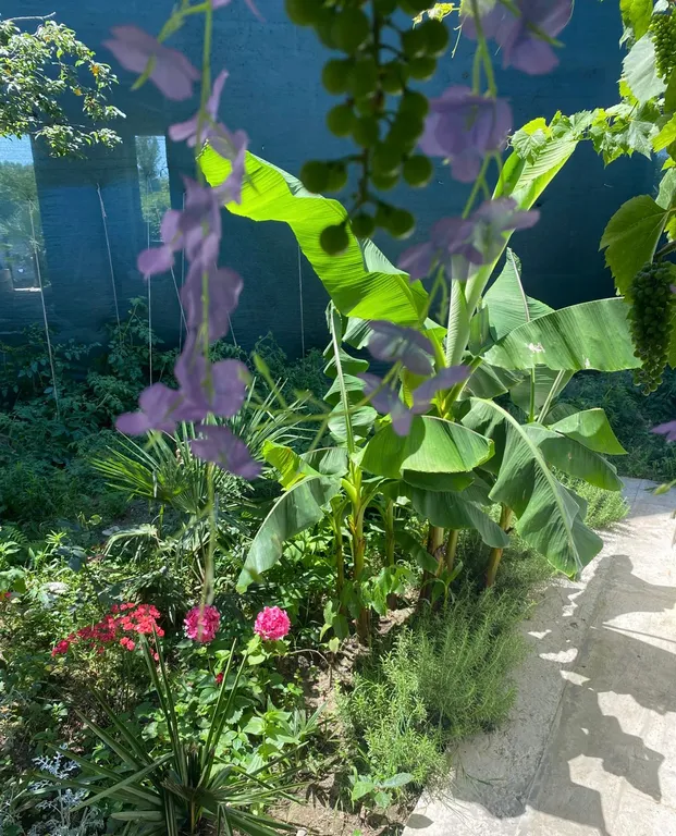 Дом в эко стиле Прованс для ценителей уюта и уединения