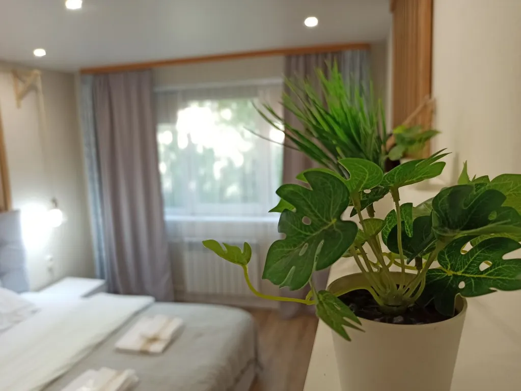 Современная квартира в 10 минутах от озера