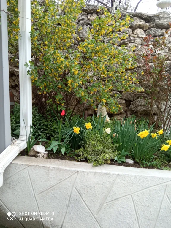 Коттедж Коттедж в центре города — Пятигорск