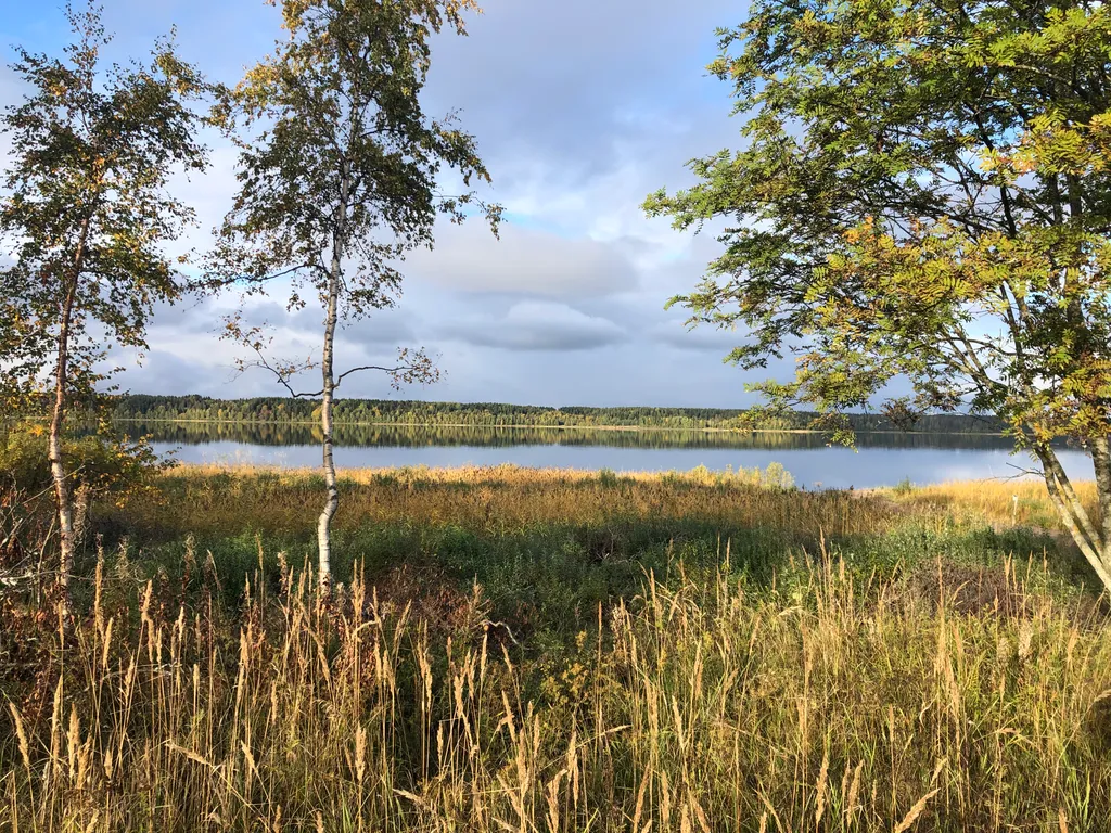 Дом в тишине на Ладоге