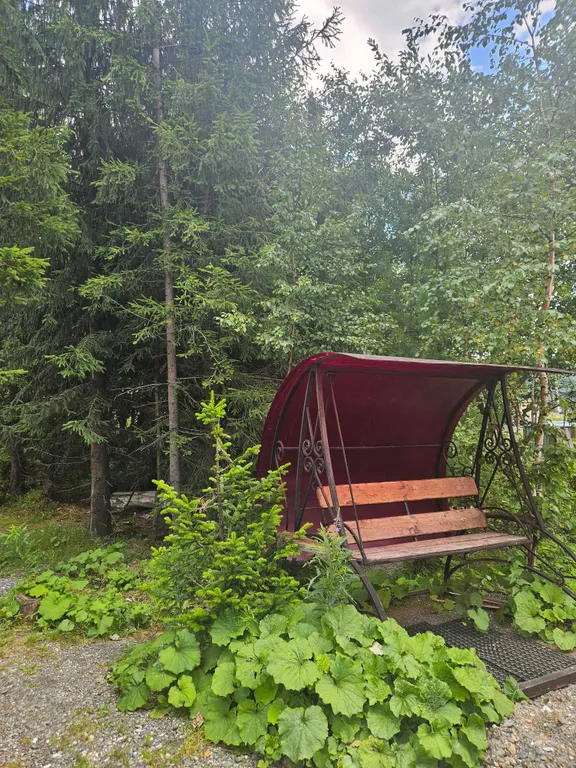 Коттедж Дом в живописнейшем месте в окружении кедровых и пихтовых деревьев — Шерегеш