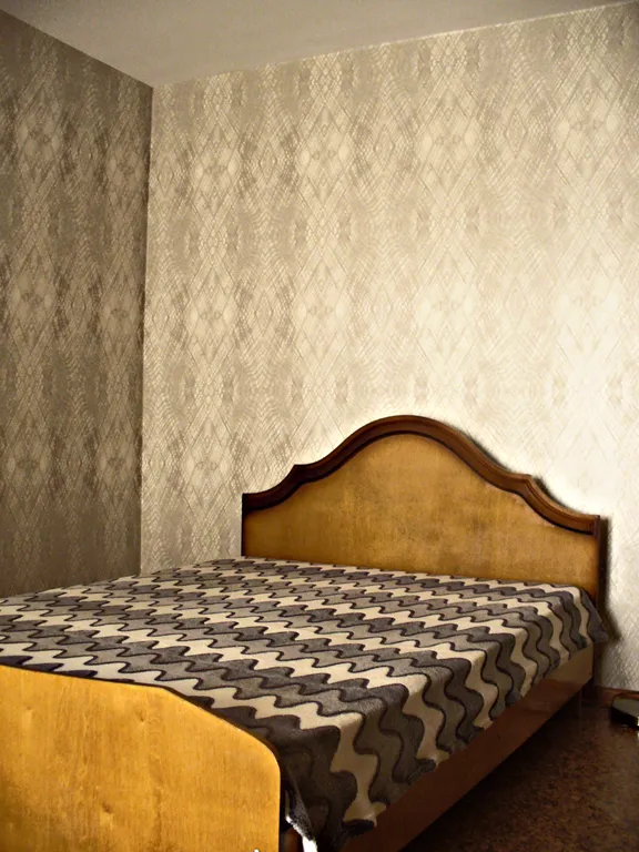 Двухкомнатные апартаменты в деловом центре города