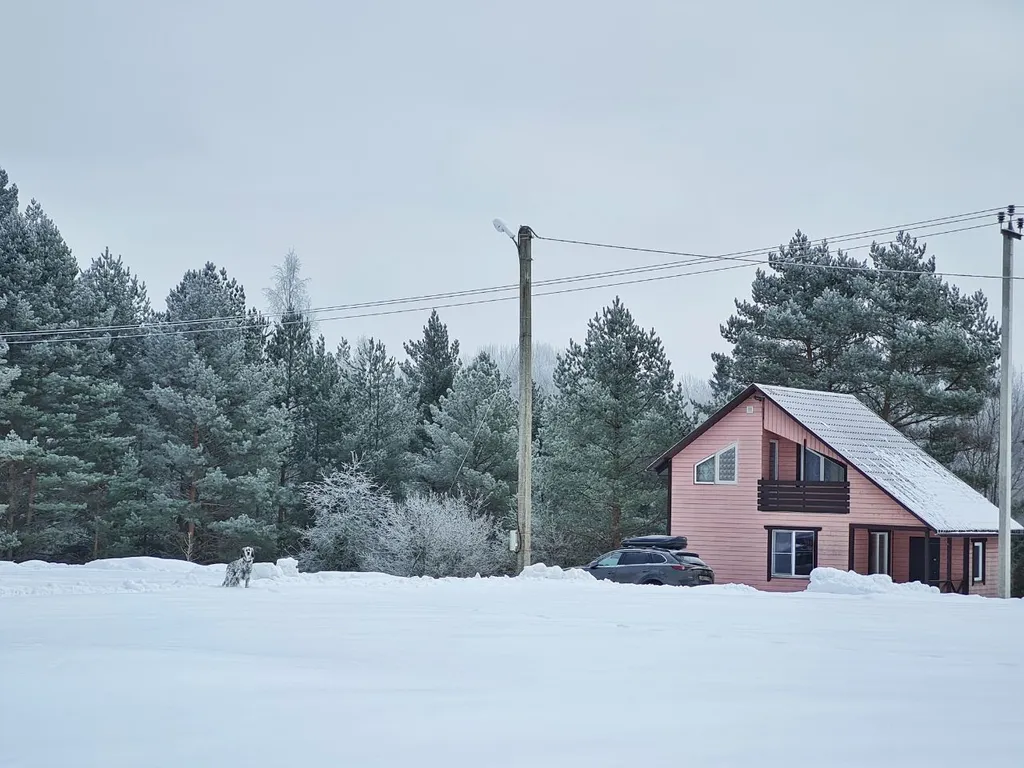 Коттедж Коттеджи у озера — Луга