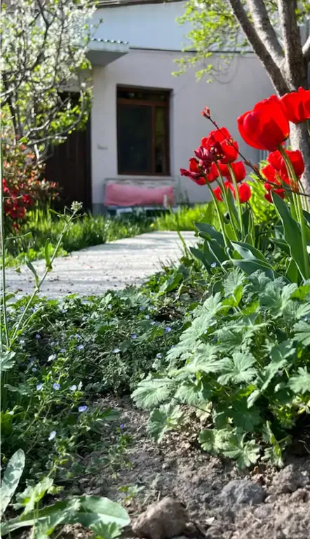 Cozy home in the city center next to Cascade