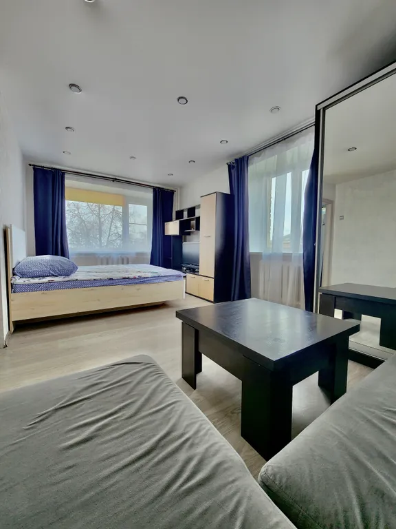 Однокомнатная квартира в центре города