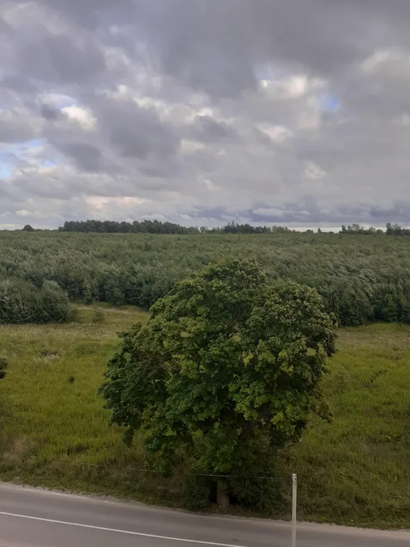 Квартира Уютная квартира на берегу Балтийского моря — Светлогорск