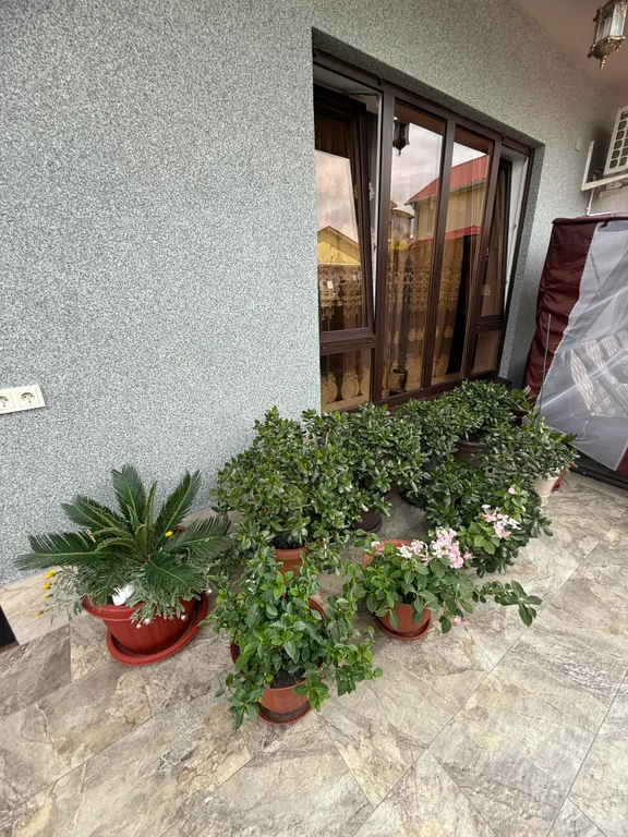 Квартира 1-комнатная Квартира — Сириус