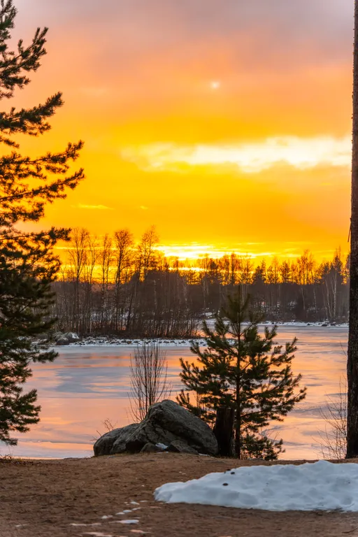 Дом с видом на лес