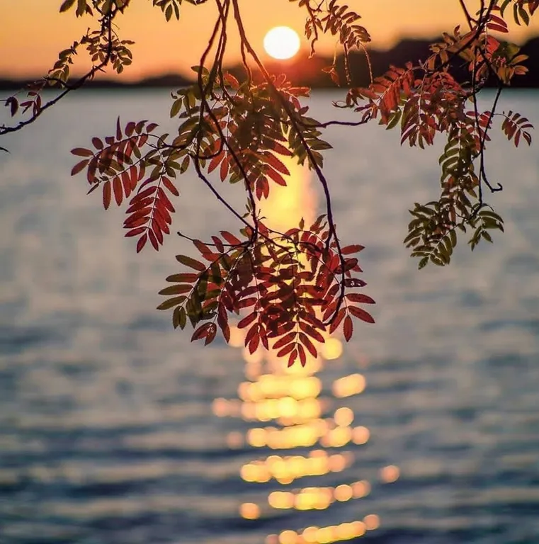 Солнечный домик в беловежской пуще без соседей, баня, озера, экскурсии