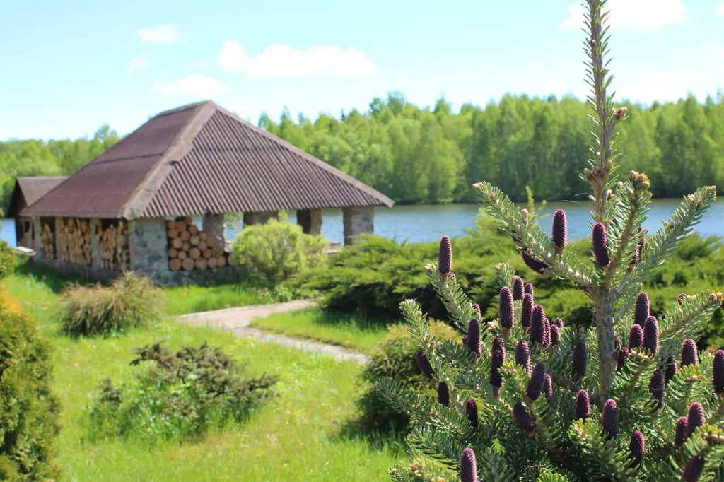 Усадьба Пядань, рыбалка