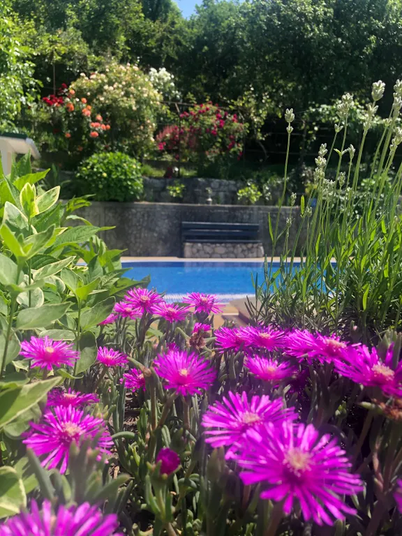 Дом с бассейном у моря участок - 24 сотки райского сада