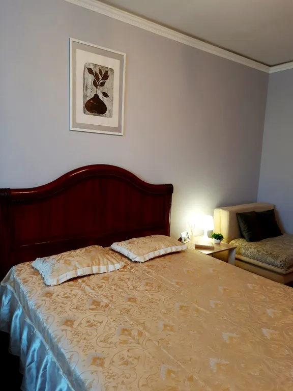 Уютная квартира на проспекте Мира 44