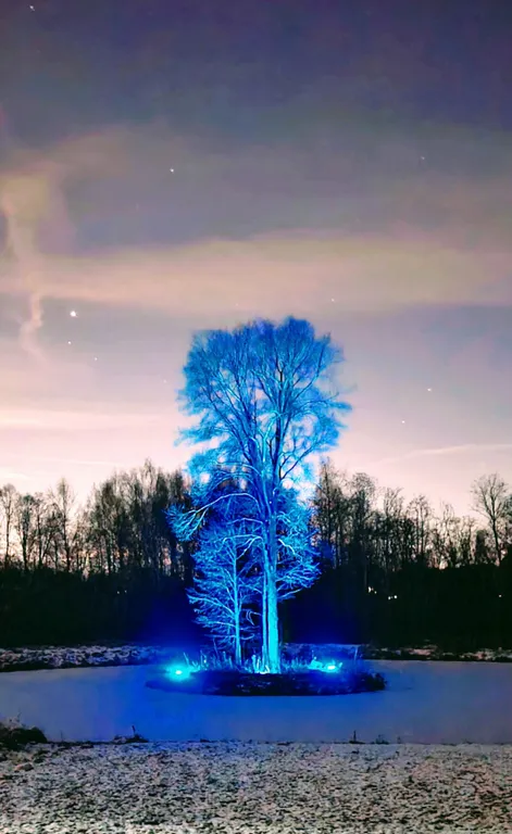 Альпийское шале Lakeview