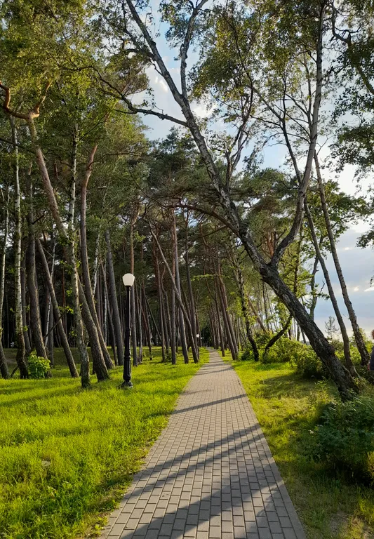 Квартира Уютная квартира в курортном городе — Пионерский