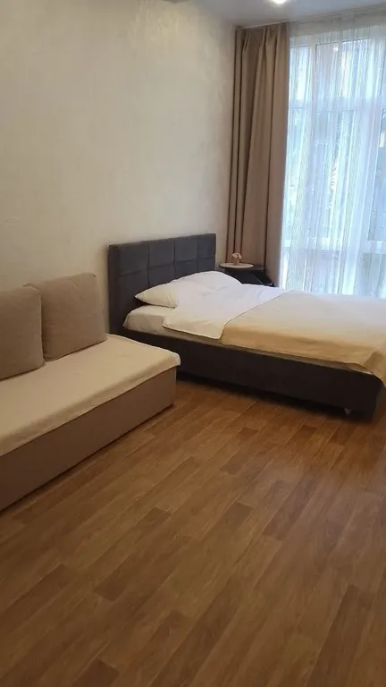 Квартира 1-комнатная Квартира — Сириус