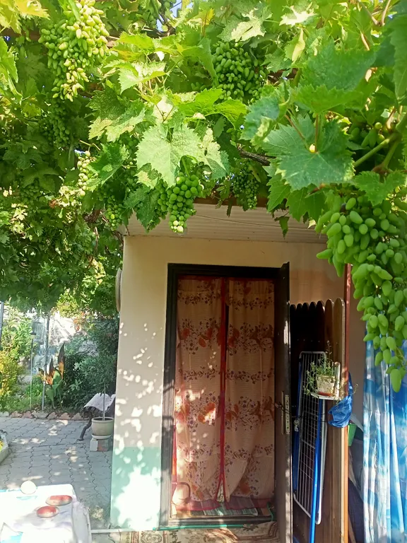 Уютный домик у Галины