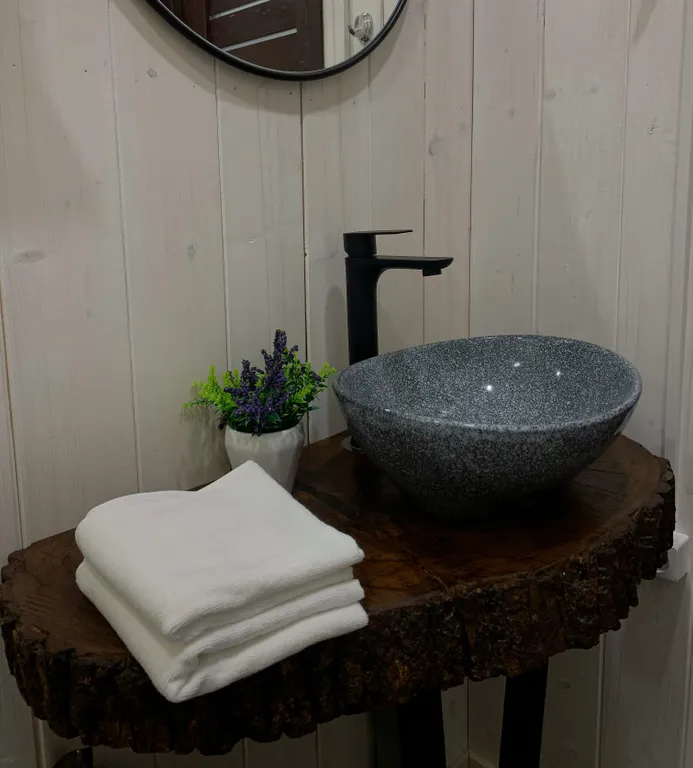 Коттедж Треугольный эко-дом с баней и чаном — Истра