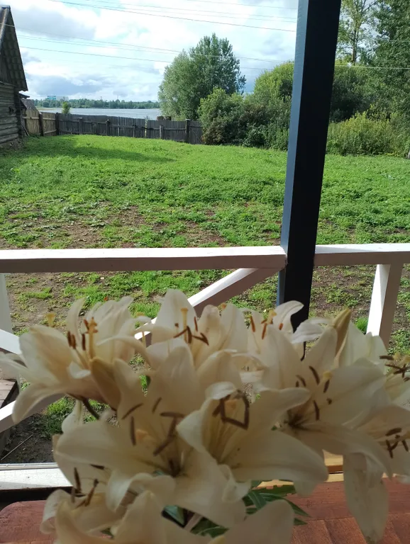 Домик на Селигере