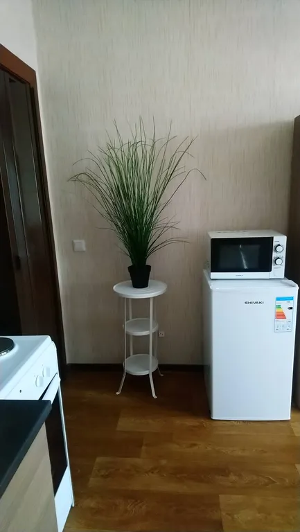 Комфортная студия в Новом Петергофе