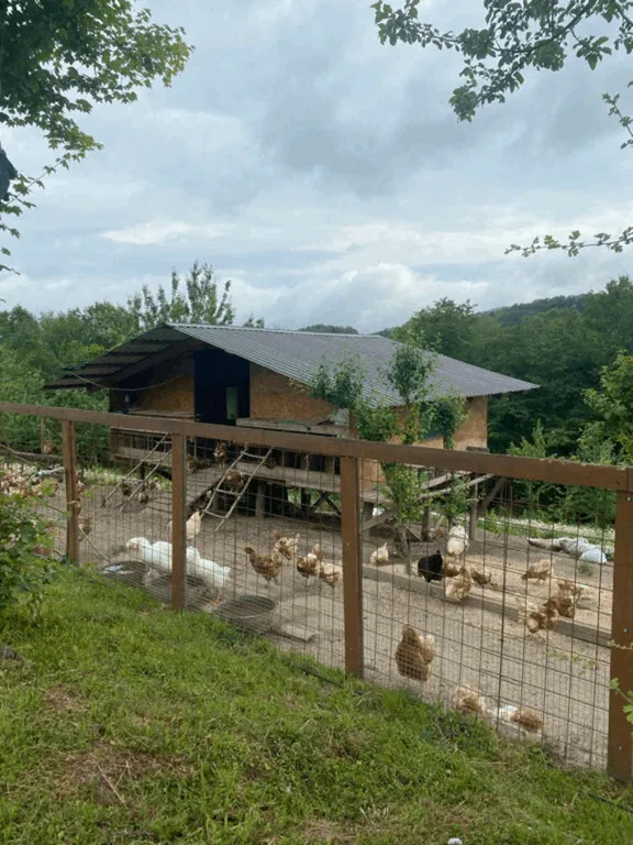 Большой домик в глэмпинге эко-ферма Гуляй поле